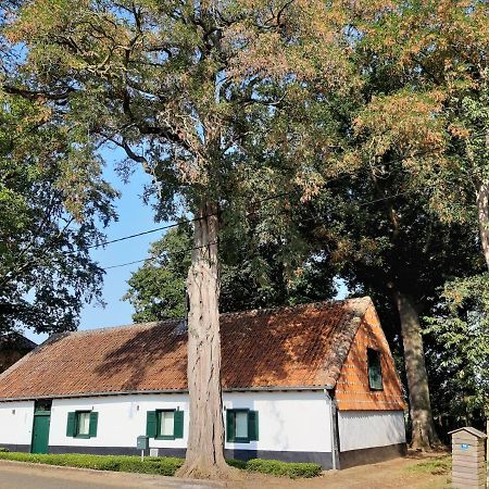 Lemen Huis Houwaart Tielt-Winge ภายนอก รูปภาพ