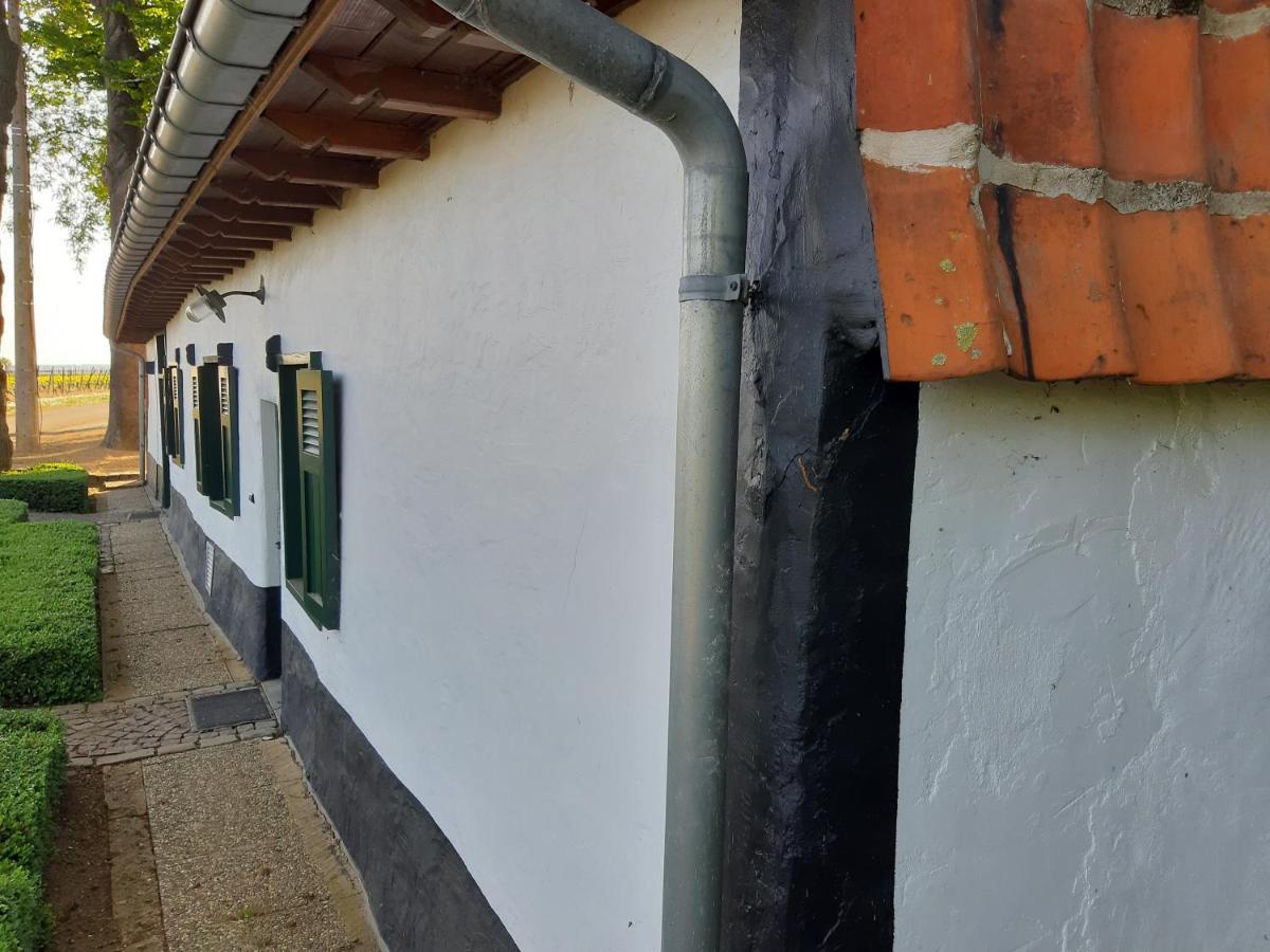 Lemen Huis Houwaart Tielt-Winge ภายนอก รูปภาพ